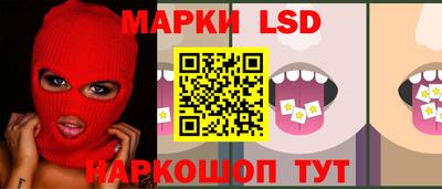 сатива Кандалакша