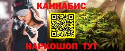 крисы Камышлов