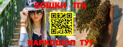крисы Камышлов