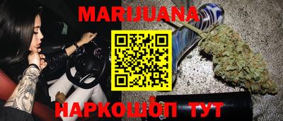 сатива Кандалакша